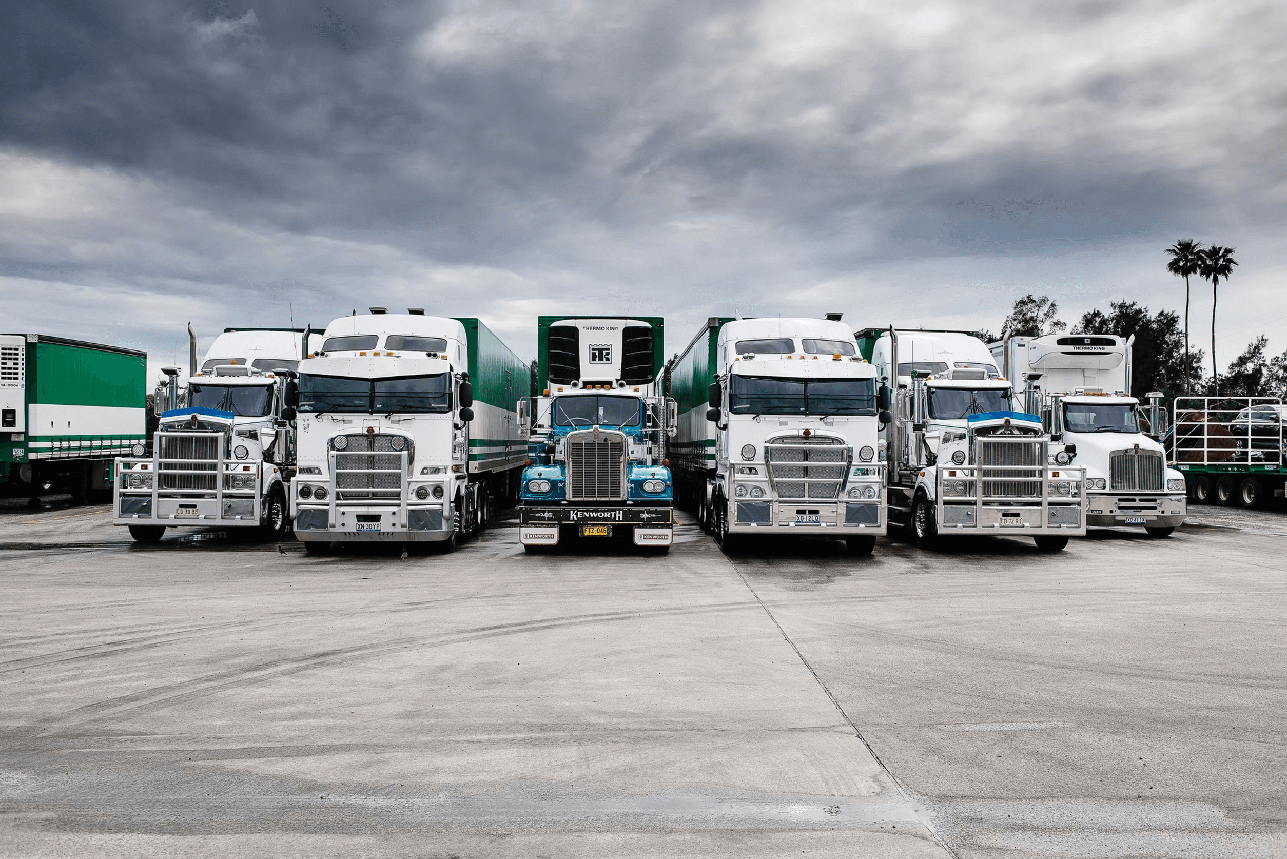 The Scarcella fleet lined up front-on under a stormy sky